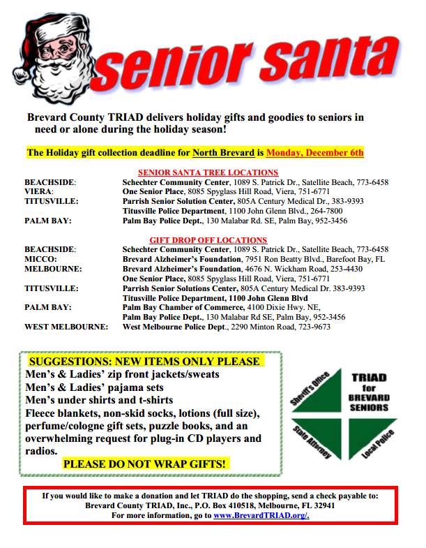 Senior Sanat Flyer 2021