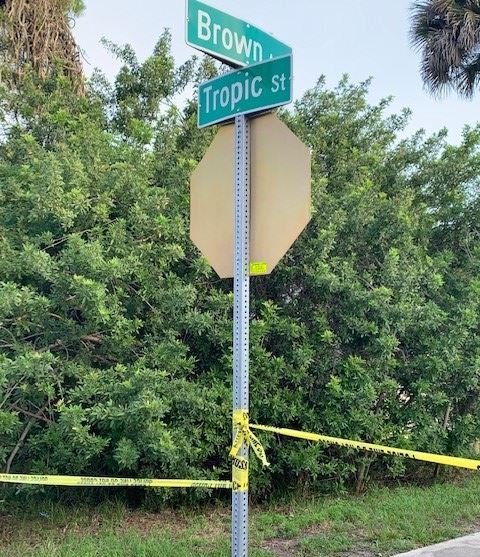 Shooting Brown and Tropic