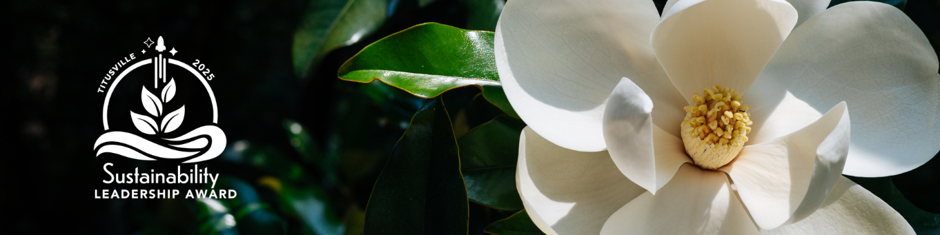 Sustainability Award