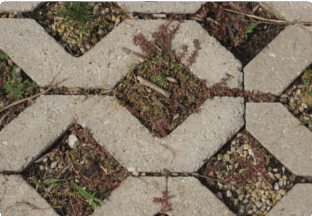 Pervious Surface (2)