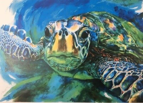 Painted image of a sea turtle.