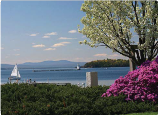 Ocean Water and Flowers